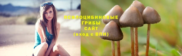 кокаин премиум Заводоуковск