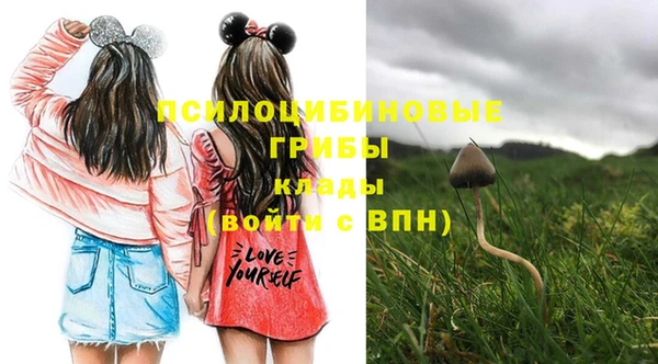 твердый Заволжье