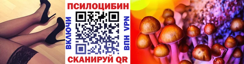 где купить наркоту  darknet как зайти  Галлюциногенные грибы Cubensis  Холм 